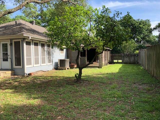 Another picture of the back yard.