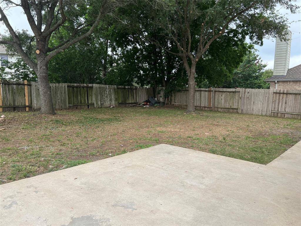 Back yard