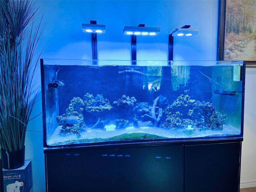 160 gallon salt water fish tank with beautiful tropical fish