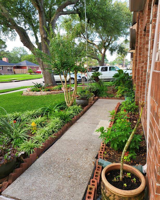 Landscaping delight!