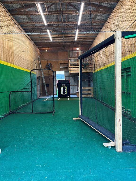 Batter up in this fantastic batting cage