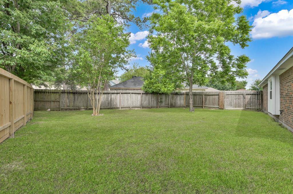 Huge Backyard