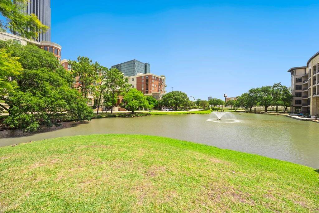 Behind the building is a pond with fountain. City ducks flock here year round.