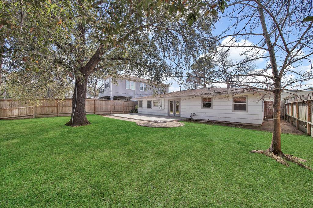 HUGE YARD FOR THE FAMILY AND FURRY FREINDS