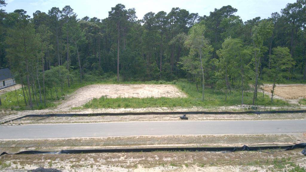 Gorgeous Wooded Homesite!