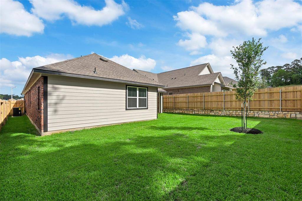 Backyard!