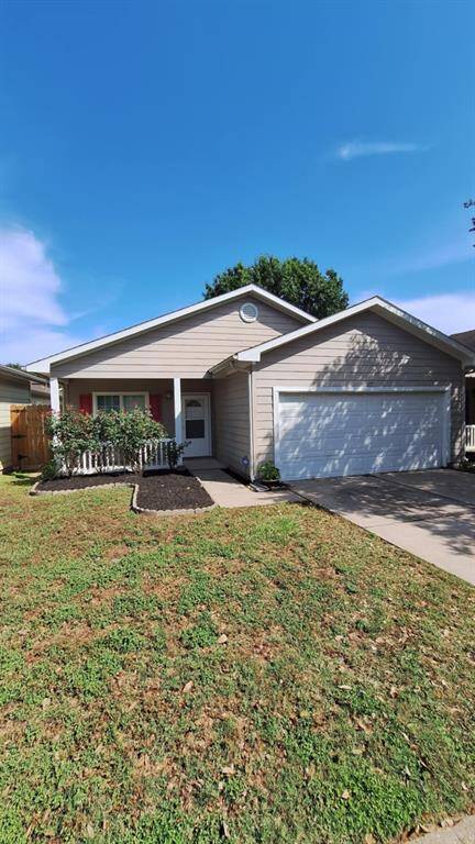 10219 Cinnaberry