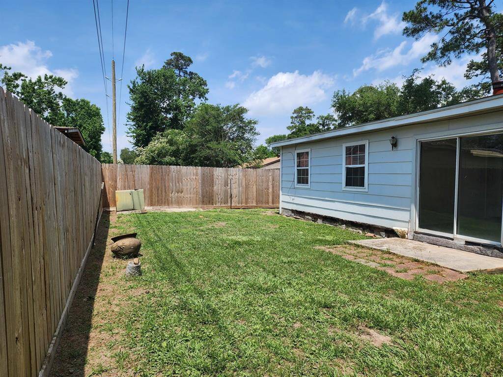 Back Yard