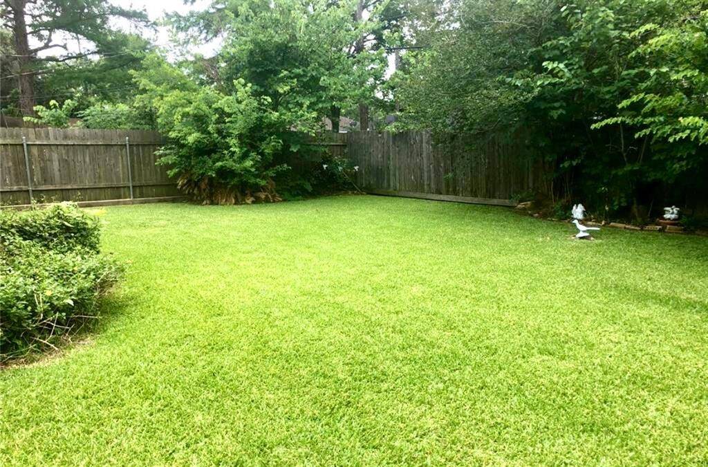 Back Patio