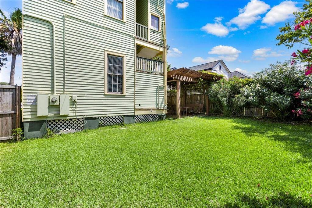 Backyard lined with oleanders