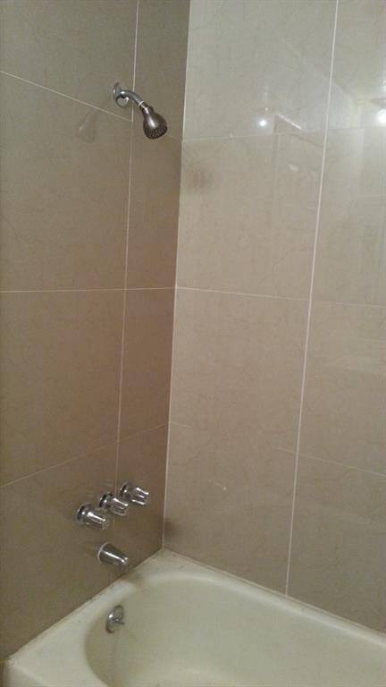 Master bathroom bathtub