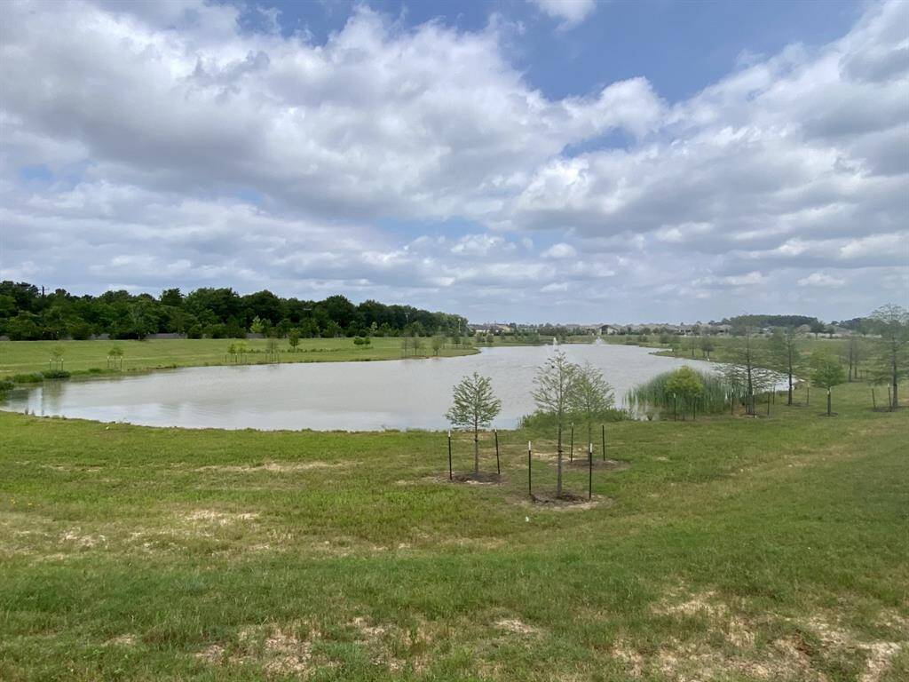 Neighborhood pond
