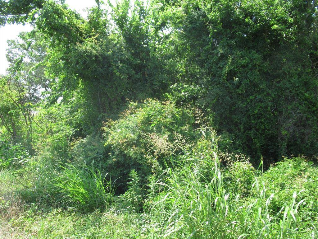 Woodsy if you want privacy