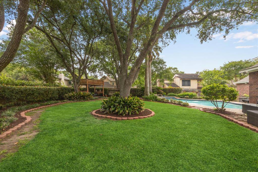 Another view of the backyard.