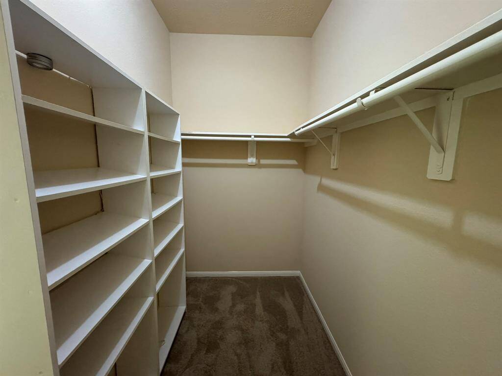 Walk-in closet in primary bathroom