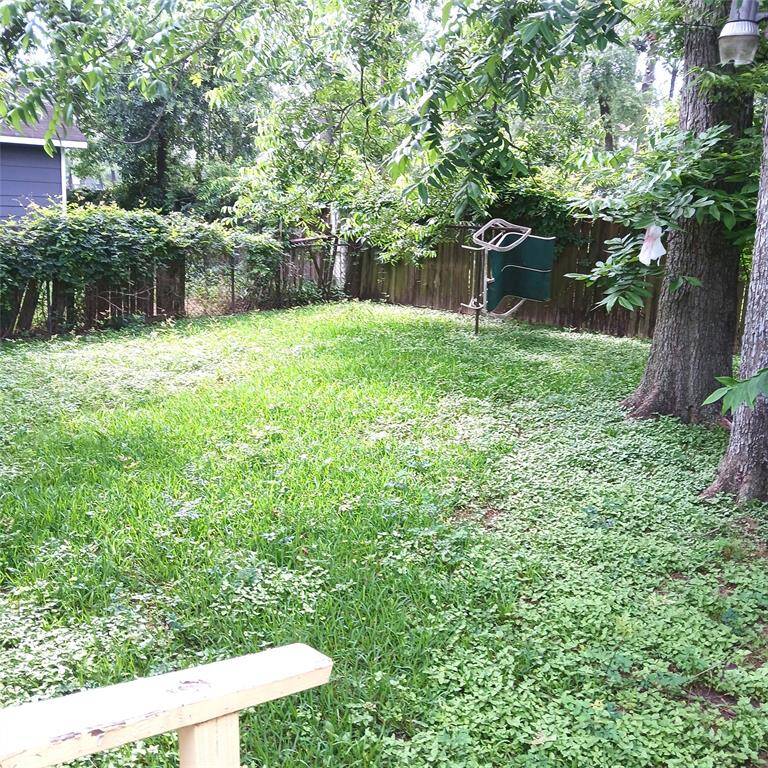 Back yard