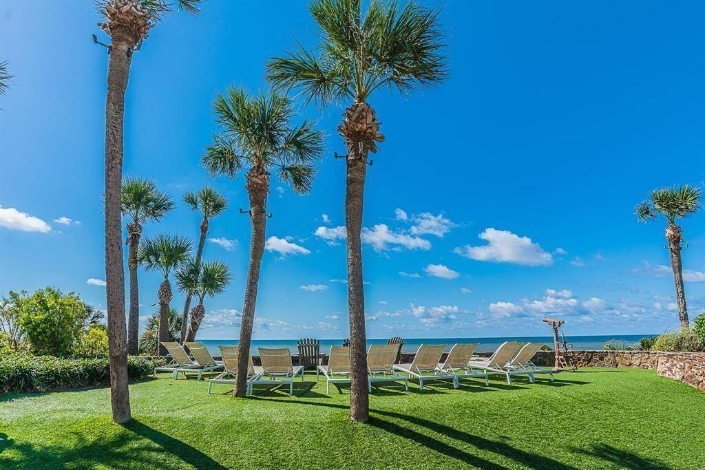 Well-maintained oceanfront lawn with tall palm trees and multiple lounge chairs, offering a serene and scenic view of the sea under a clear blue sky.