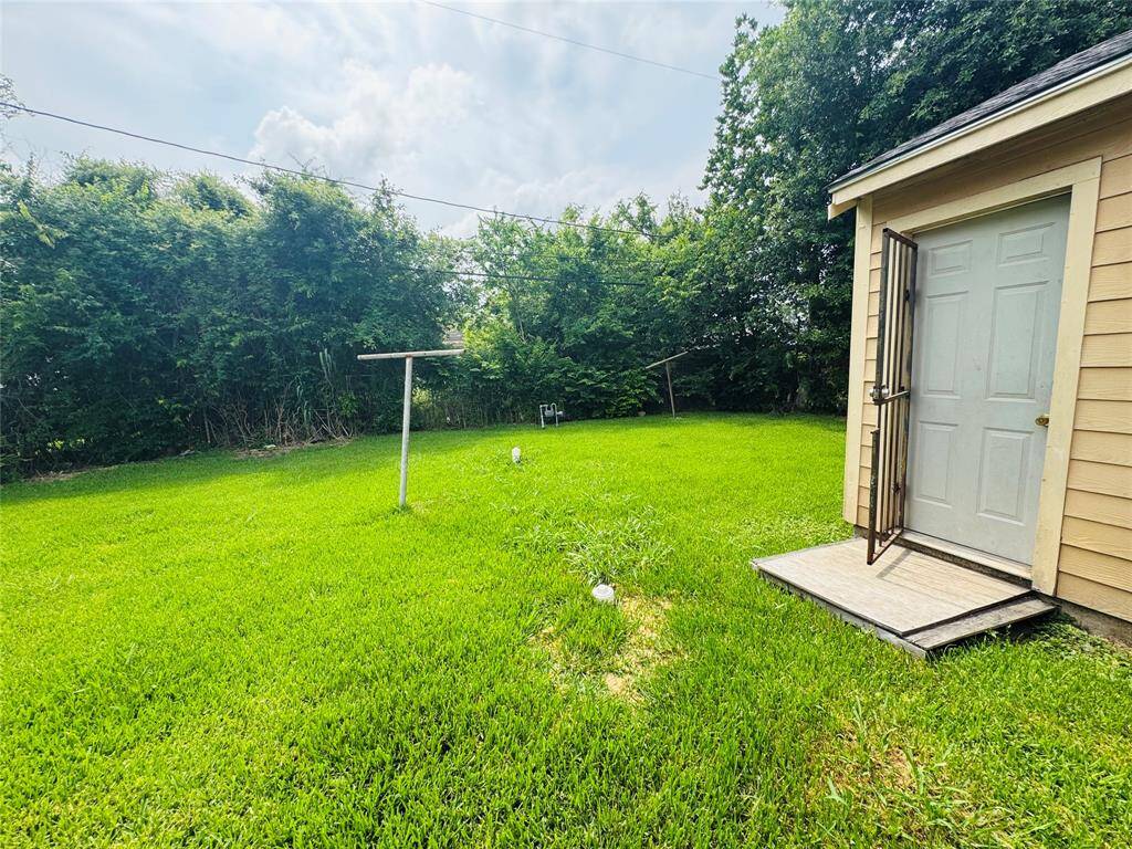 Big backyard.