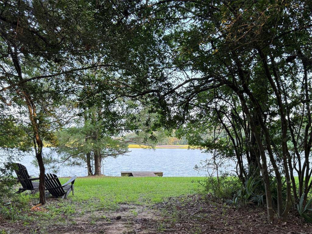 Path to the Lake