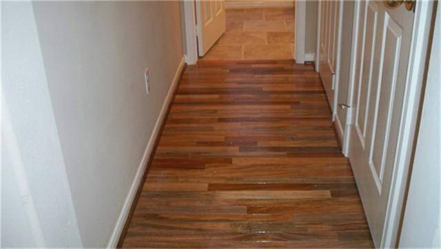 Hallway to guest bath.