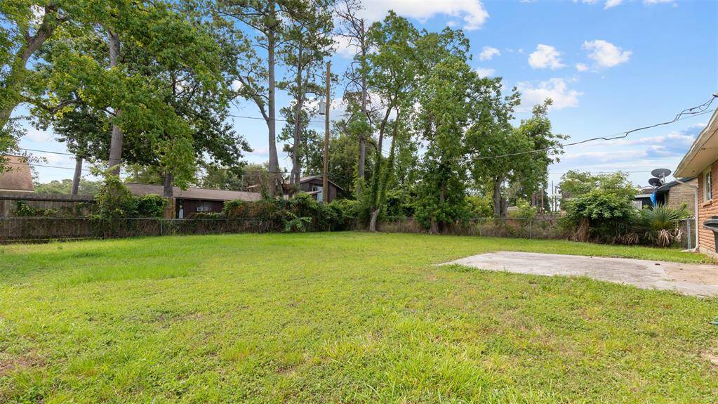 Huge Back Yard