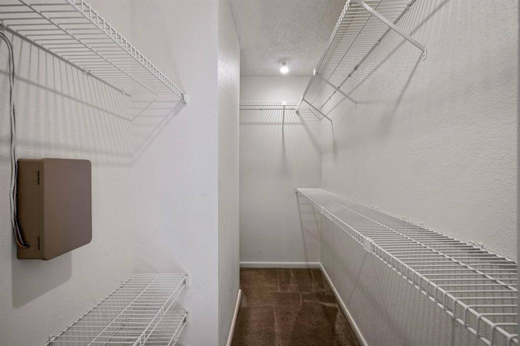 Primary Walk-In Closet -