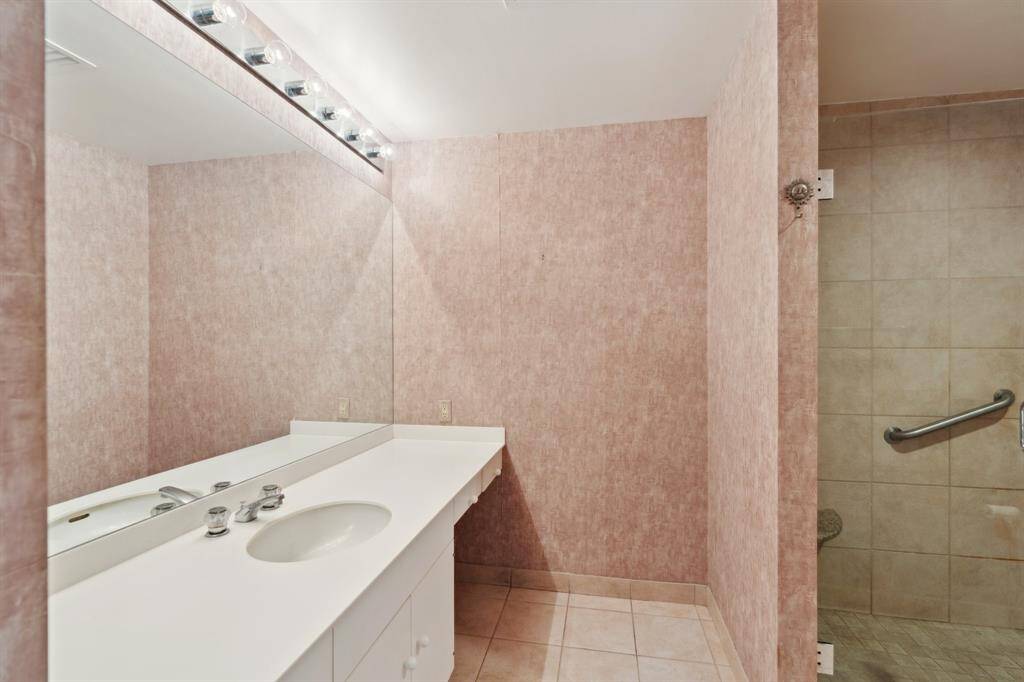 Primary bathroom with vanity and walk-in shower.