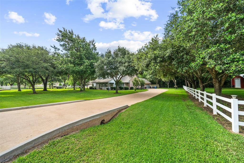 As you approach this peaceful setting, a long, tree-lined driveway welcomes you home, framed by white cross fencing and sprawling green lawns. Towering trees and thoughtful landscaping create a serene first impression, setting the stage for the charm and comfort that await just ahead.