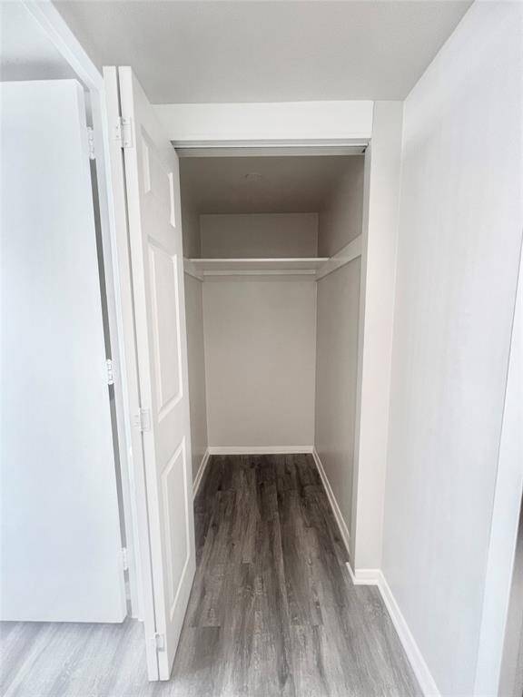 Hallway to bedroom and bathroom with a large closet