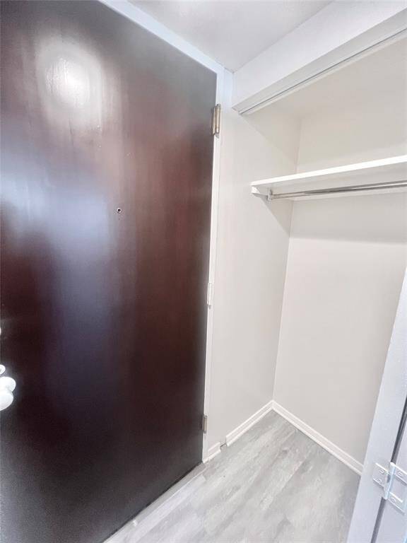 Entry door and closet