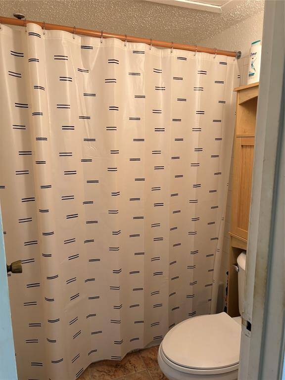 Primary Tub / Toilet Area