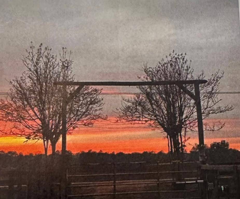 STUNNING SUNSET