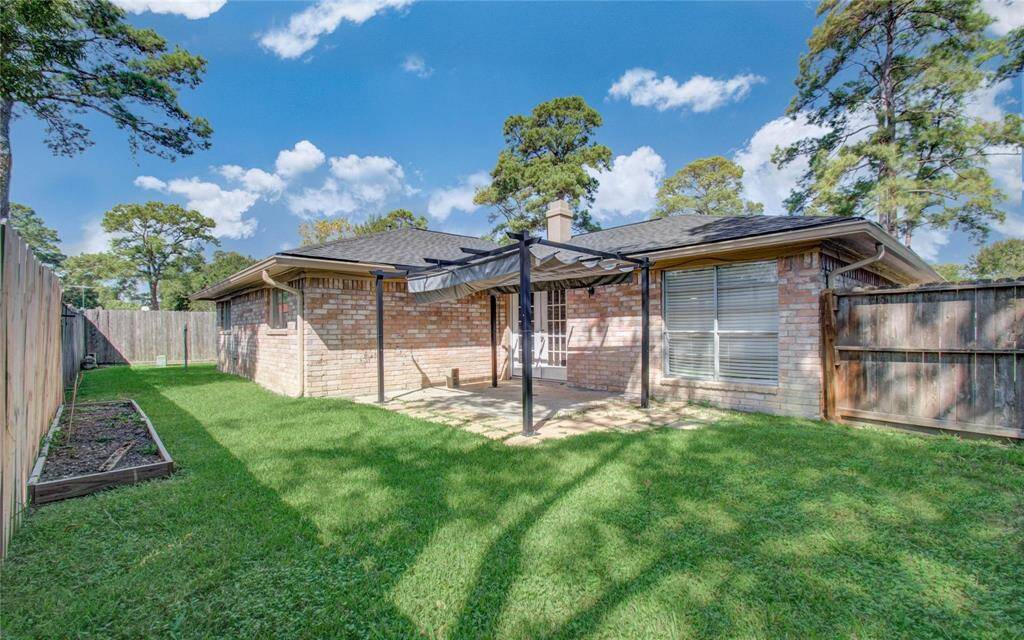 Backyard 2