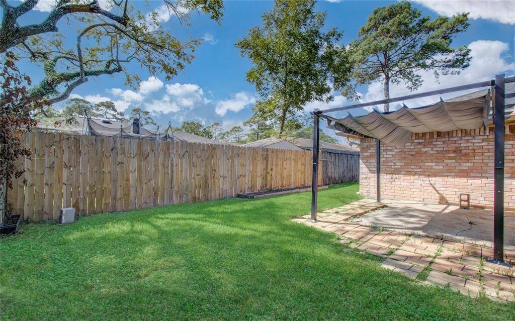 Backyard 4