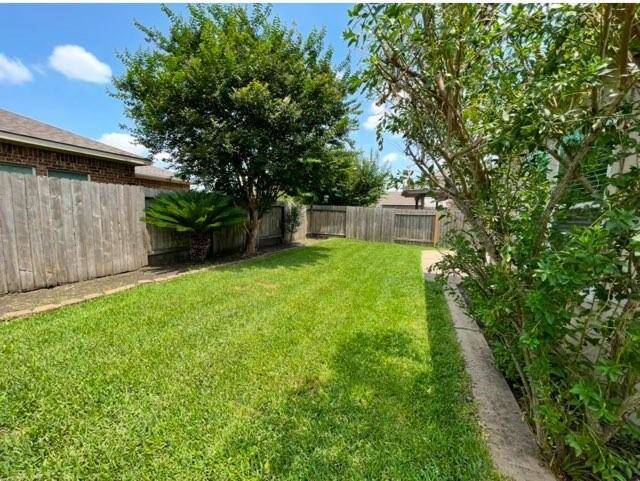 BackYardView