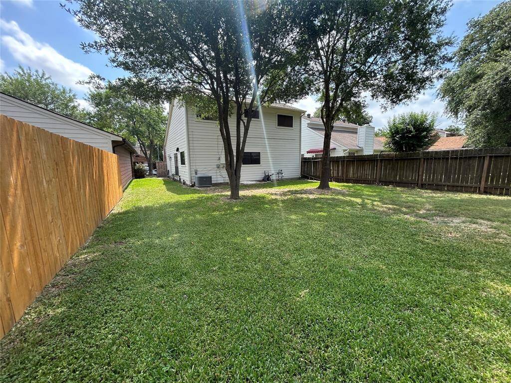 back yard