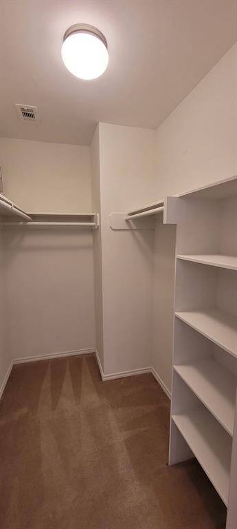 Primary closet