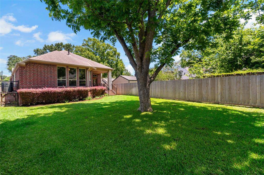 Large back yard with great pecan tree in the middle of the yard
