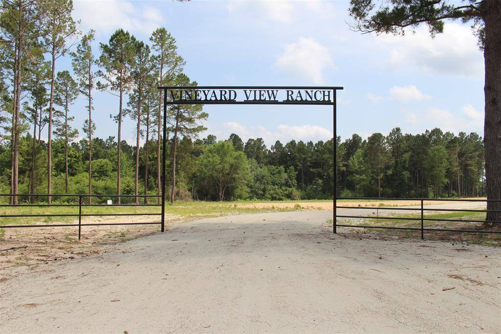 Vineyard Views Rach is Brand New Subdivision in Grapeland Texas