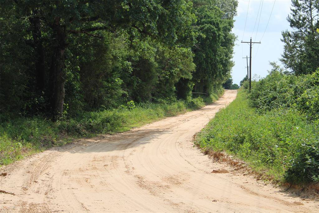 View of CR 2170..property will be on left here.