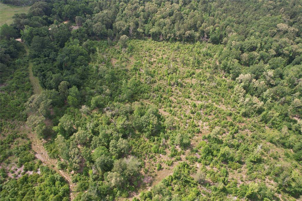 Property to right of "road" on left.... CR 2170 shown in top left coner of picture.