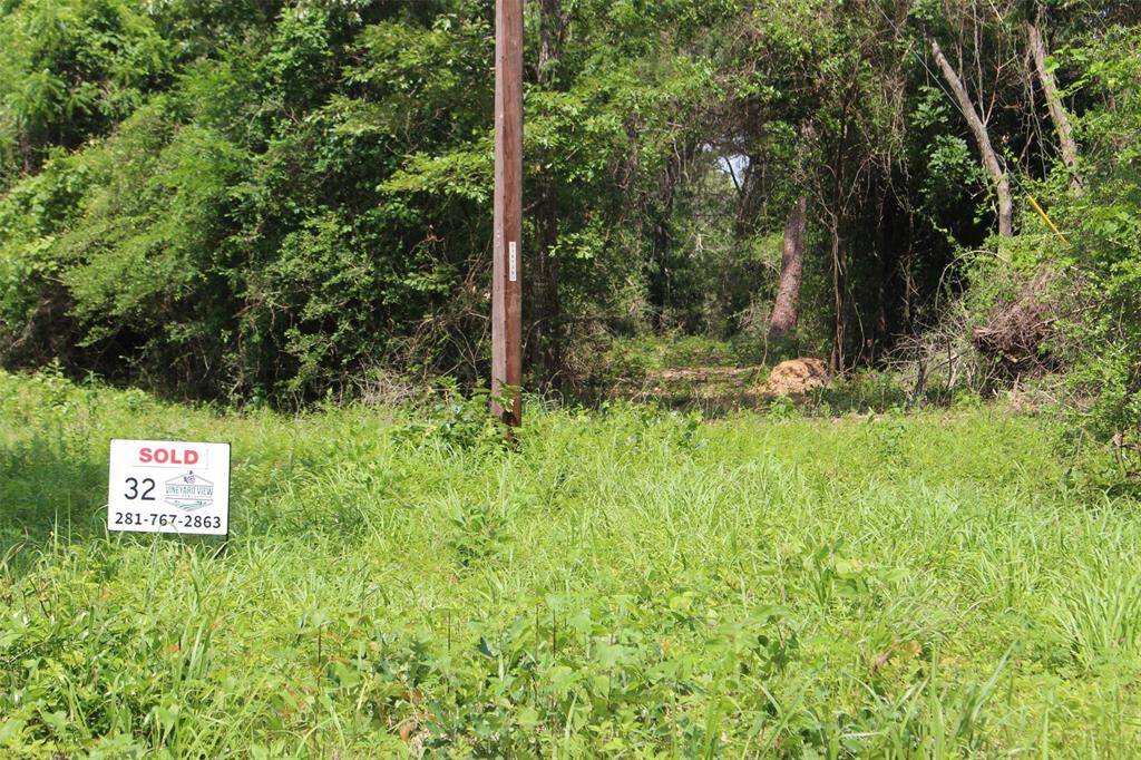 Tract 32 is accessed by CR 2170 and is one of the larger tracts within the subdivision. 12.01 Acres