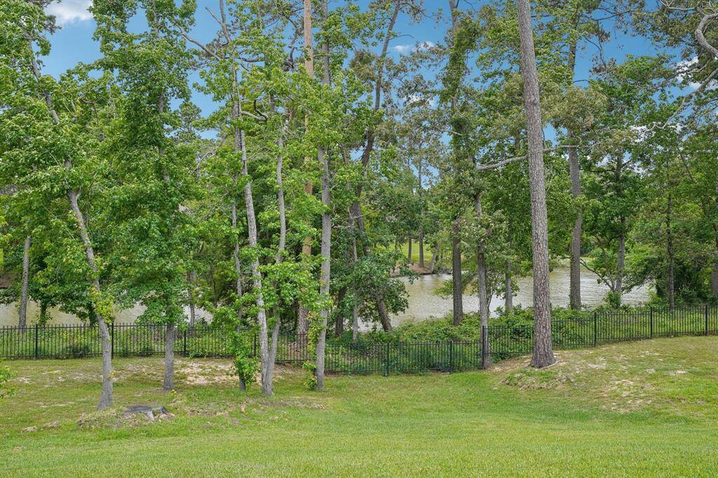 Backyard Water View