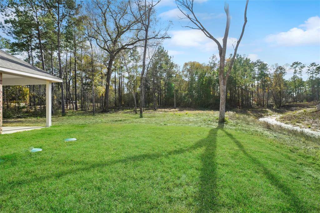 Secluded backyard with no neighbors on one side.