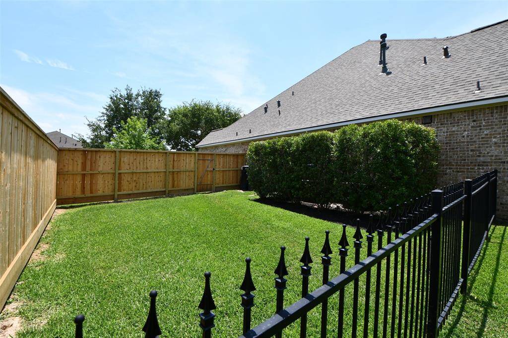 Dog run on side of house