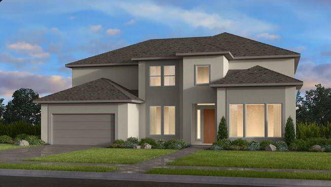 The Calypso ~ Rendering