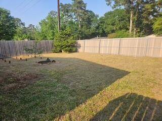 Back yard