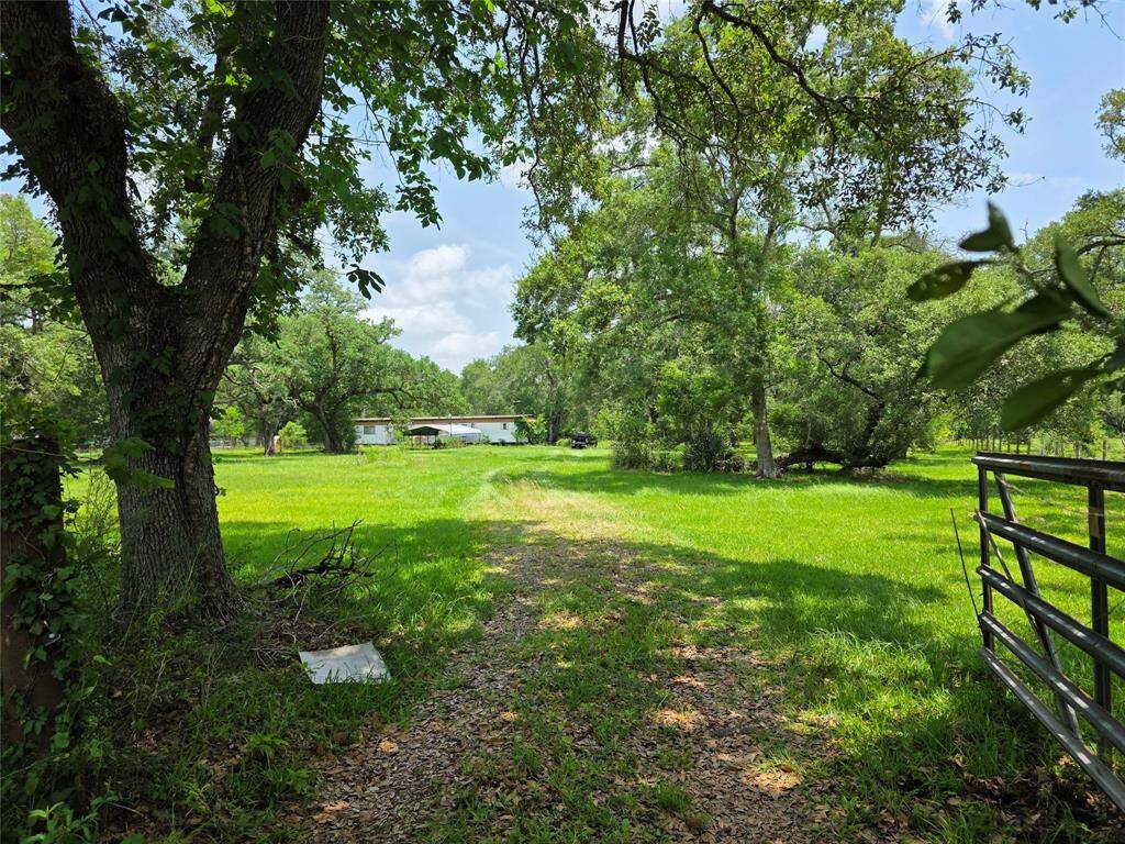 Entry Gate Framed by Shade TreesA private entrance welcomes you under a canopy of mature trees—imagine a ranch sign, fence line, and long gravel drive to your dream build.