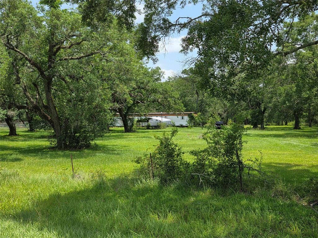 Open Pasture Area with Mixed Tree CoverIdeal for cattle, horses, or hay production—this clear, flat section offers prime usability for ag operations or equipment setup.
