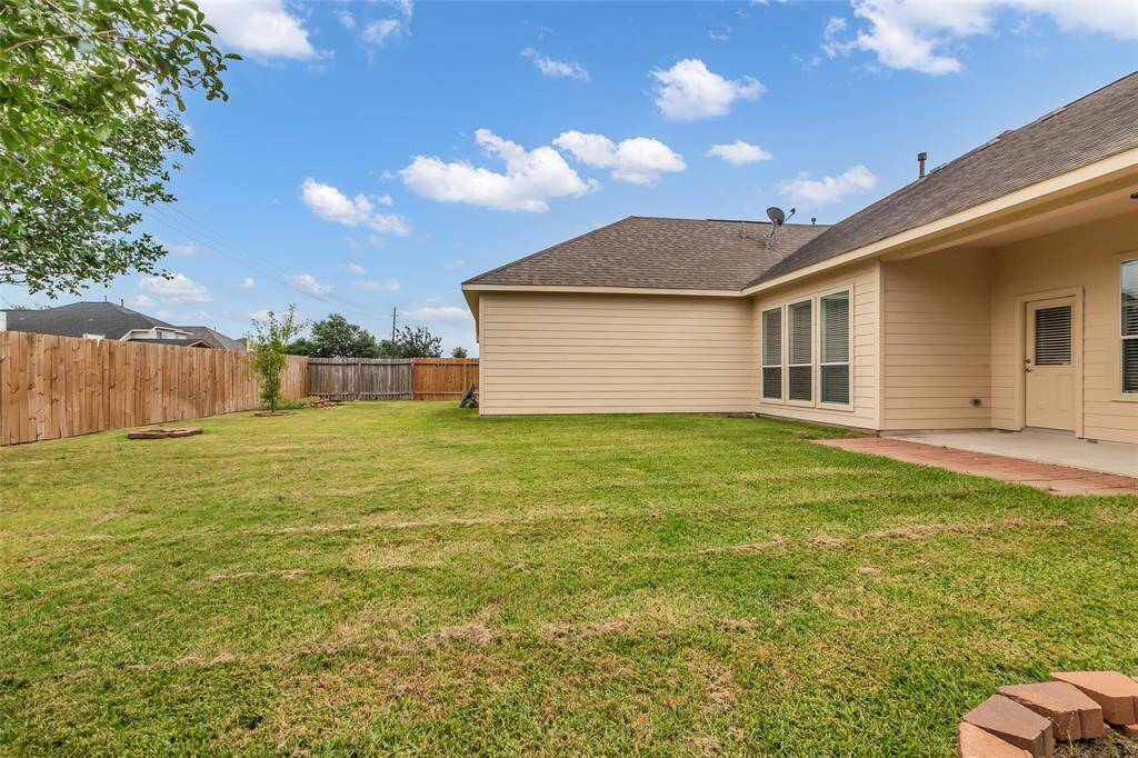 Spacious Back Yard